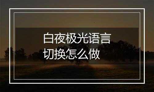 白夜极光语言切换怎么做