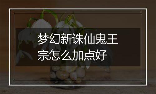 梦幻新诛仙鬼王宗怎么加点好