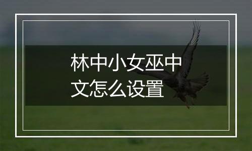 林中小女巫中文怎么设置