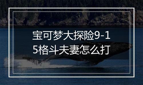 宝可梦大探险9-15格斗夫妻怎么打