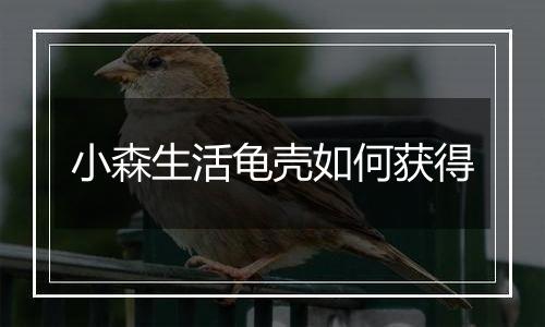 小森生活龟壳如何获得