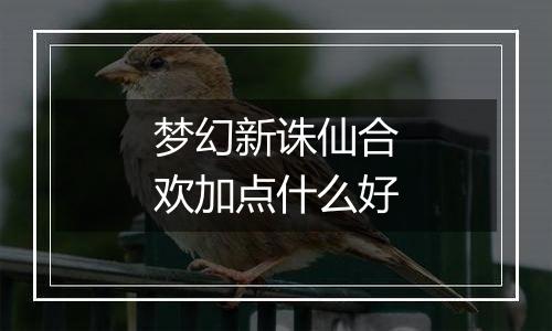 梦幻新诛仙合欢加点什么好