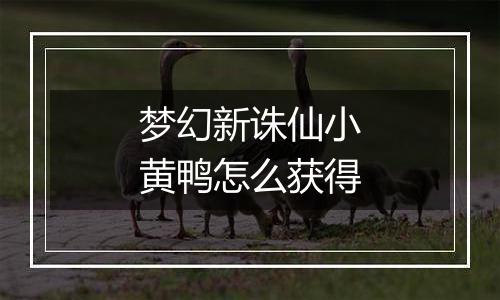 梦幻新诛仙小黄鸭怎么获得