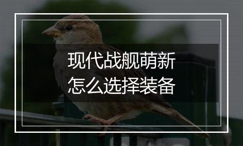 现代战舰萌新怎么选择装备