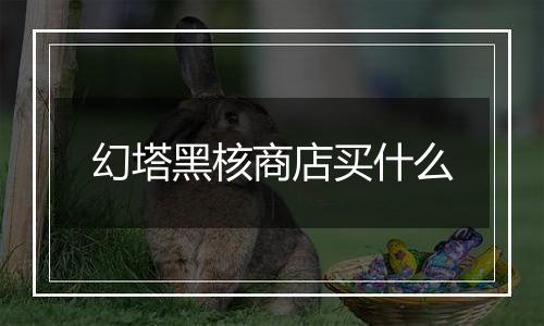 幻塔黑核商店买什么