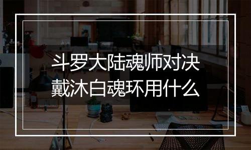 斗罗大陆魂师对决戴沐白魂环用什么
