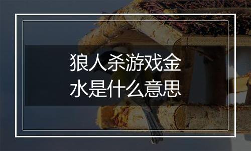 狼人杀游戏金水是什么意思
