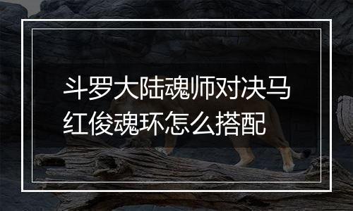 斗罗大陆魂师对决马红俊魂环怎么搭配