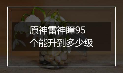 原神雷神瞳95个能升到多少级