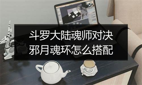 斗罗大陆魂师对决邪月魂环怎么搭配