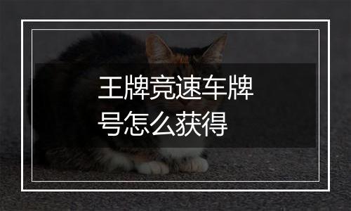 王牌竞速车牌号怎么获得