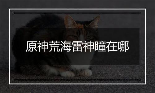 原神荒海雷神瞳在哪
