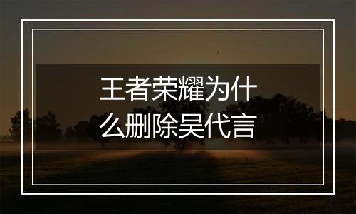 王者荣耀为什么删除吴代言