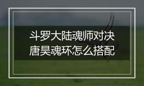 斗罗大陆魂师对决唐昊魂环怎么搭配