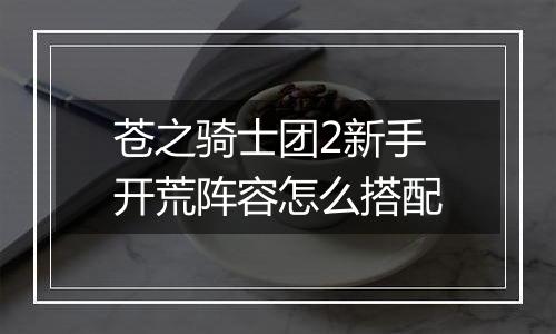 苍之骑士团2新手开荒阵容怎么搭配