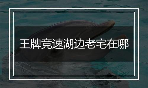 王牌竞速湖边老宅在哪