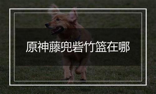 原神藤兜砦竹篮在哪