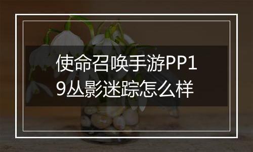 使命召唤手游PP19丛影迷踪怎么样