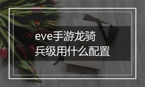 eve手游龙骑兵级用什么配置