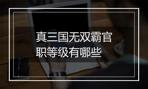 真三国无双霸官职等级有哪些