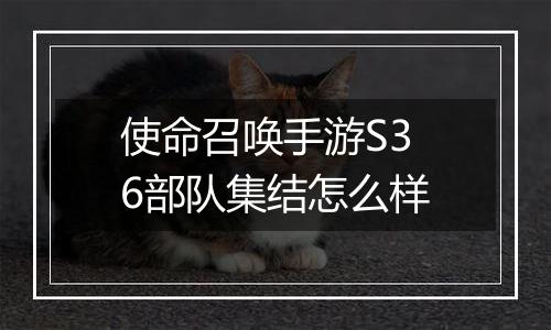 使命召唤手游S36部队集结怎么样