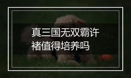 真三国无双霸许褚值得培养吗