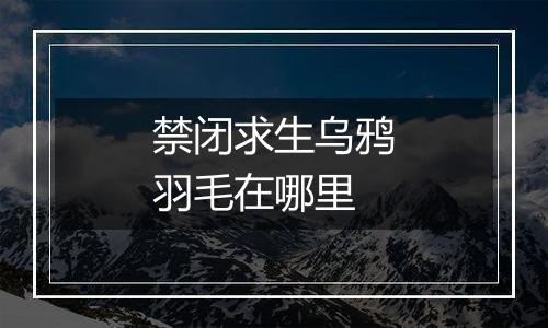 禁闭求生乌鸦羽毛在哪里