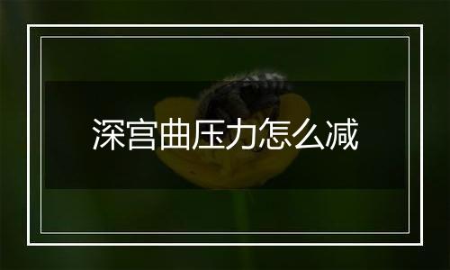 深宫曲压力怎么减