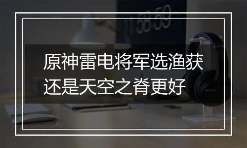原神雷电将军选渔获还是天空之脊更好