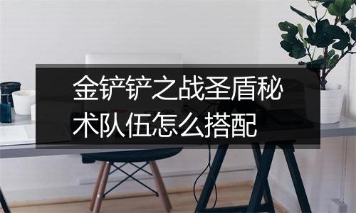 金铲铲之战圣盾秘术队伍怎么搭配