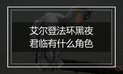 艾尔登法环黑夜君临有什么角色
