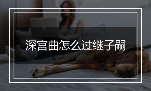 深宫曲怎么过继子嗣