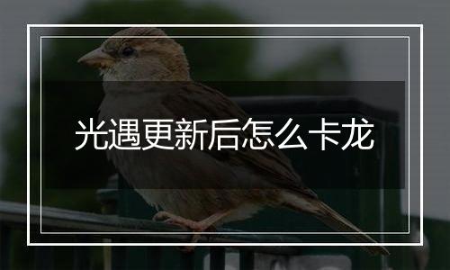 光遇更新后怎么卡龙
