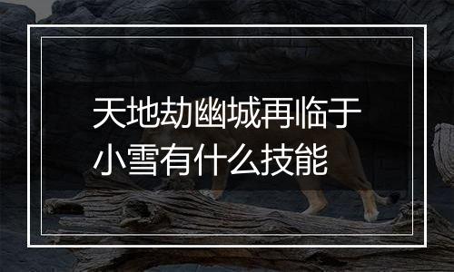 天地劫幽城再临于小雪有什么技能