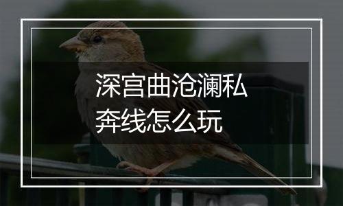 深宫曲沧澜私奔线怎么玩