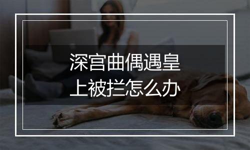 深宫曲偶遇皇上被拦怎么办