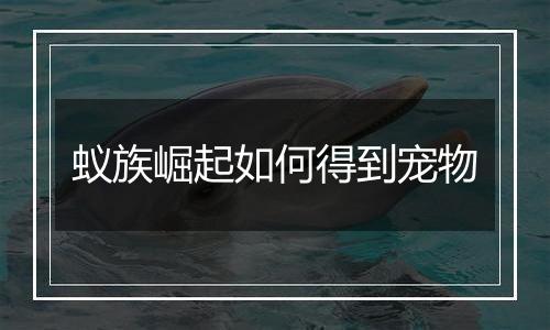 蚁族崛起如何得到宠物