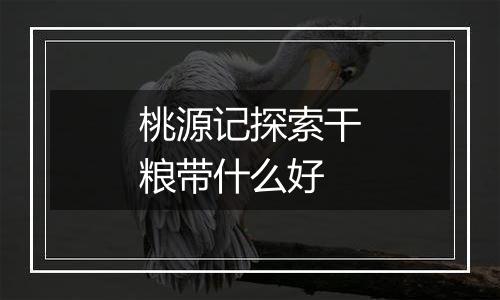 桃源记探索干粮带什么好