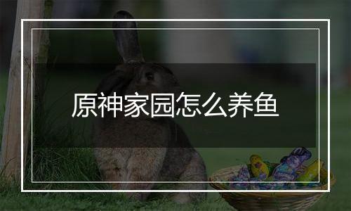 原神家园怎么养鱼