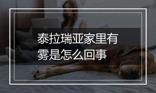 泰拉瑞亚家里有雾是怎么回事