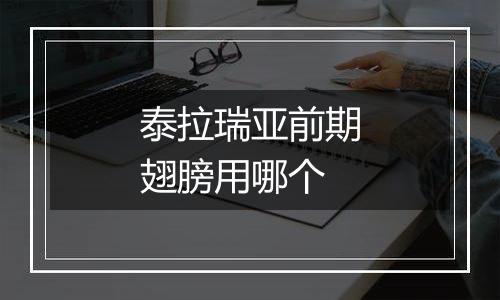 泰拉瑞亚前期翅膀用哪个