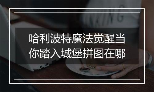 哈利波特魔法觉醒当你踏入城堡拼图在哪