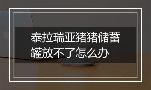 泰拉瑞亚猪猪储蓄罐放不了怎么办