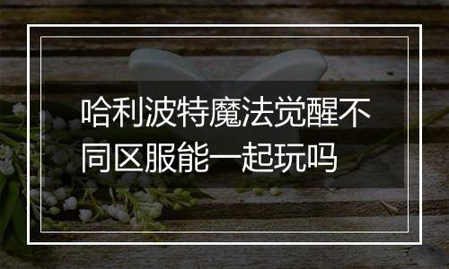 哈利波特魔法觉醒不同区服能一起玩吗