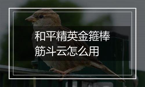 和平精英金箍棒筋斗云怎么用