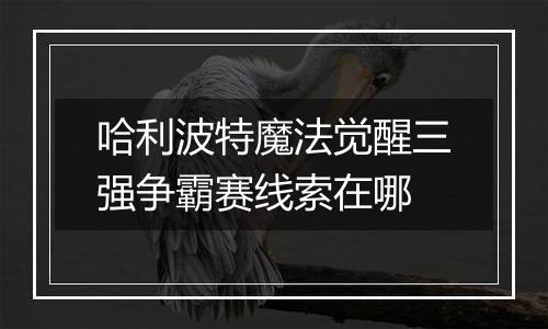 哈利波特魔法觉醒三强争霸赛线索在哪