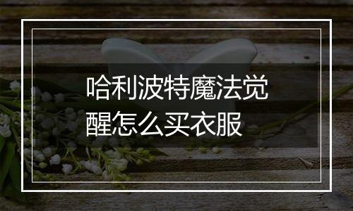 哈利波特魔法觉醒怎么买衣服