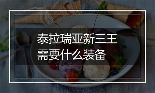 泰拉瑞亚新三王需要什么装备