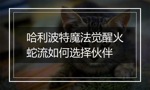 哈利波特魔法觉醒火蛇流如何选择伙伴