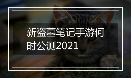 新盗墓笔记手游何时公测2021